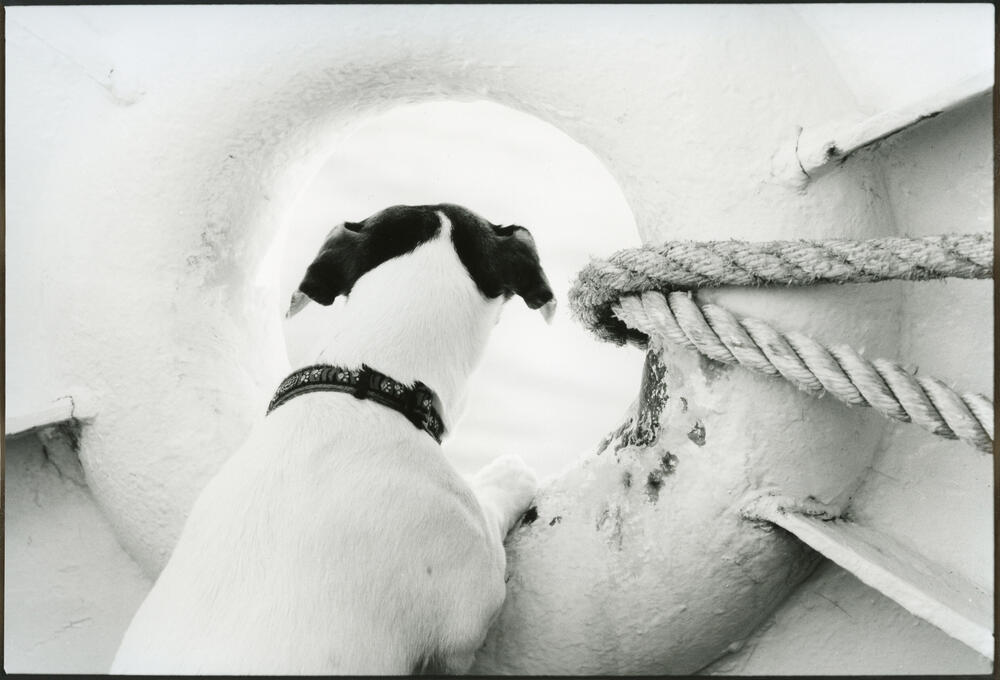 Bild von der Seite „Von Häfen, Schiffen und viel Meer“