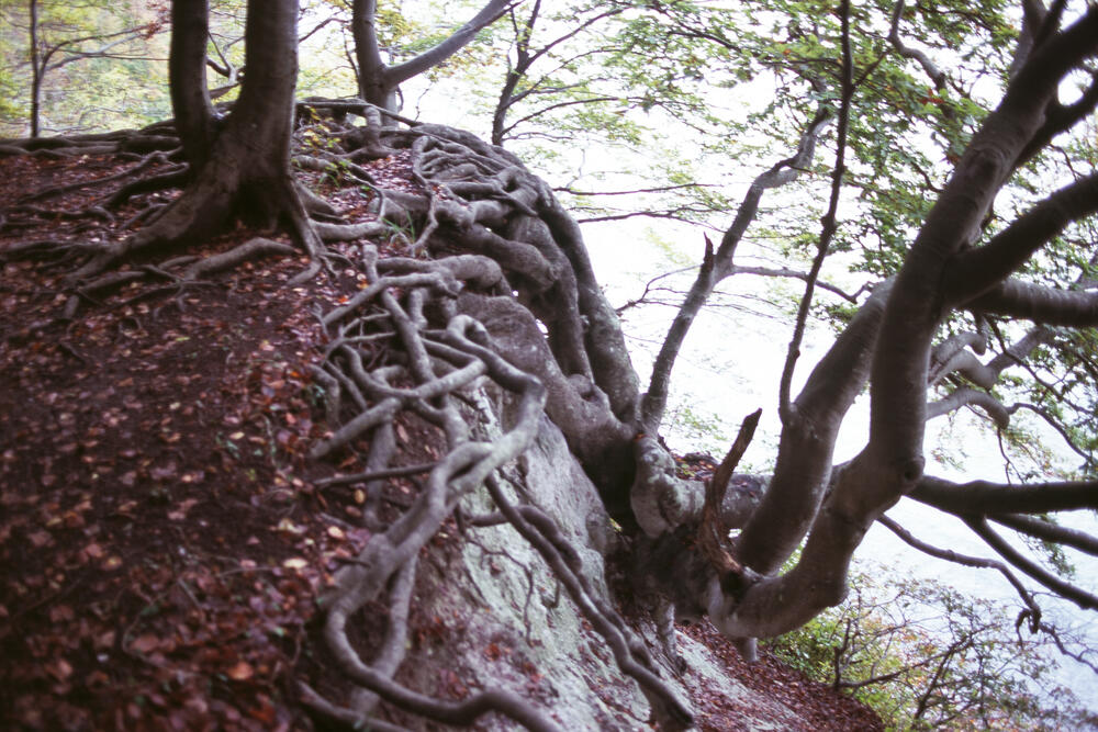 Bild von der Seite „Work in Progress“