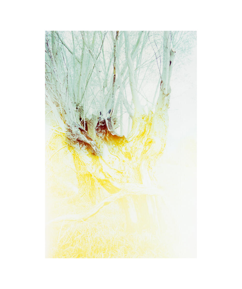 Bild von der Seite „Work in Progress“