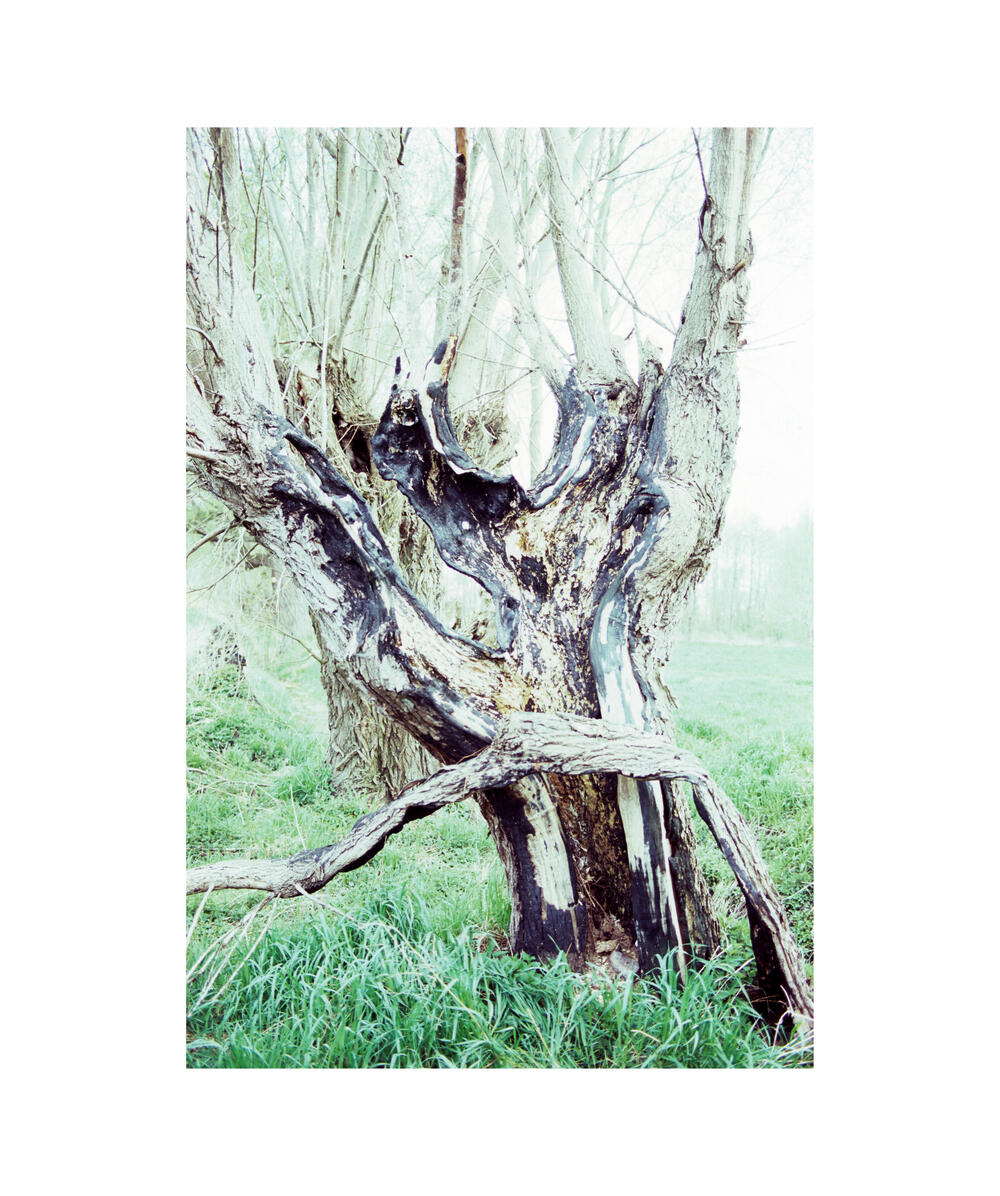 Bild von der Seite „Work in Progress“