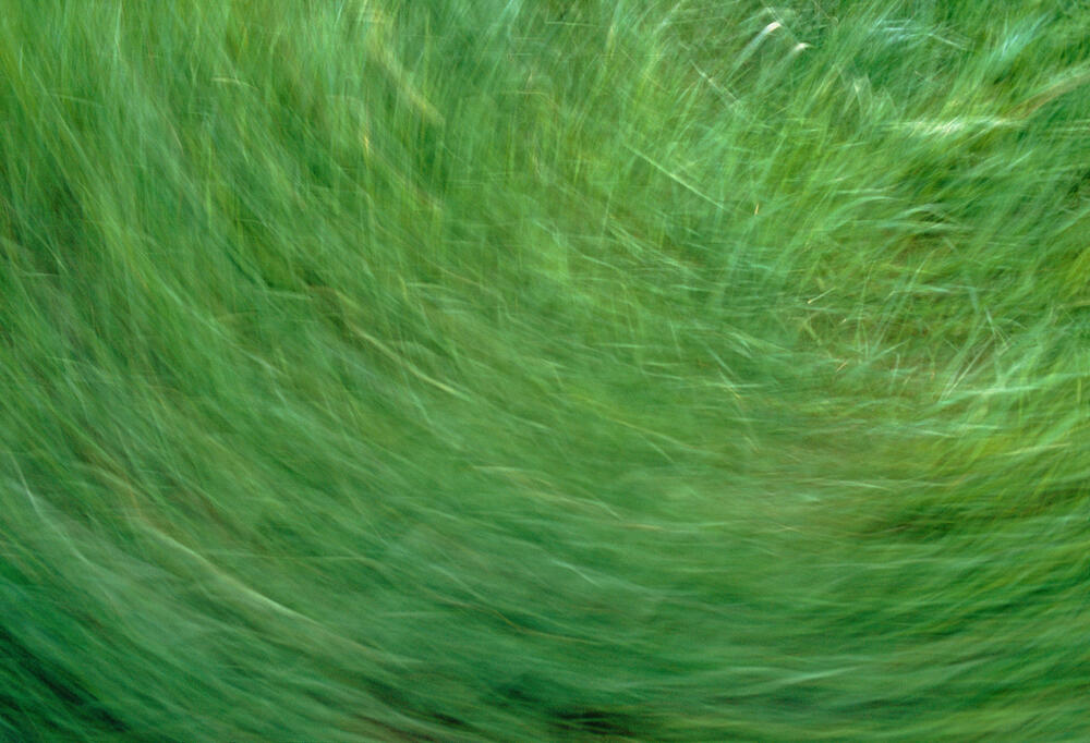 Bild von der Seite „Work in Progress“