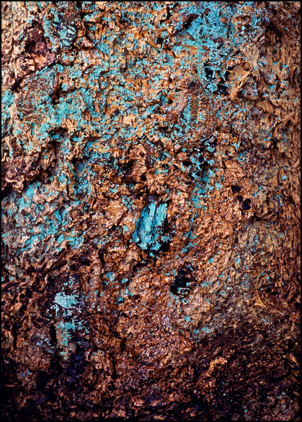 Bild von der Seite „Work in Progress“