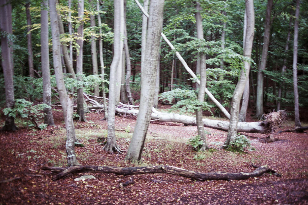 Bild von der Seite „Work in Progress“