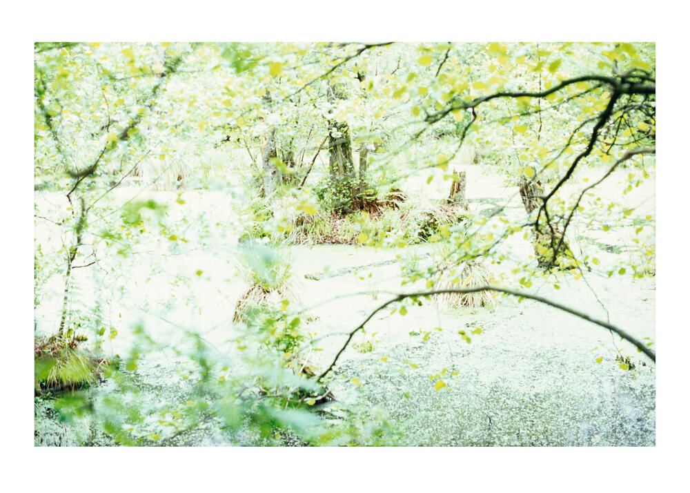 Bild von der Seite „Work in Progress“