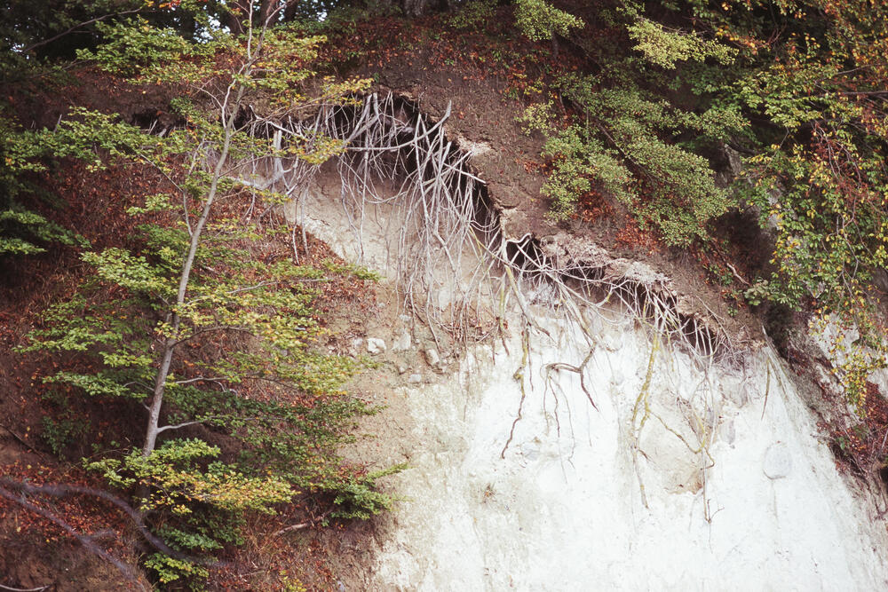 Bild von der Seite „Work in Progress“