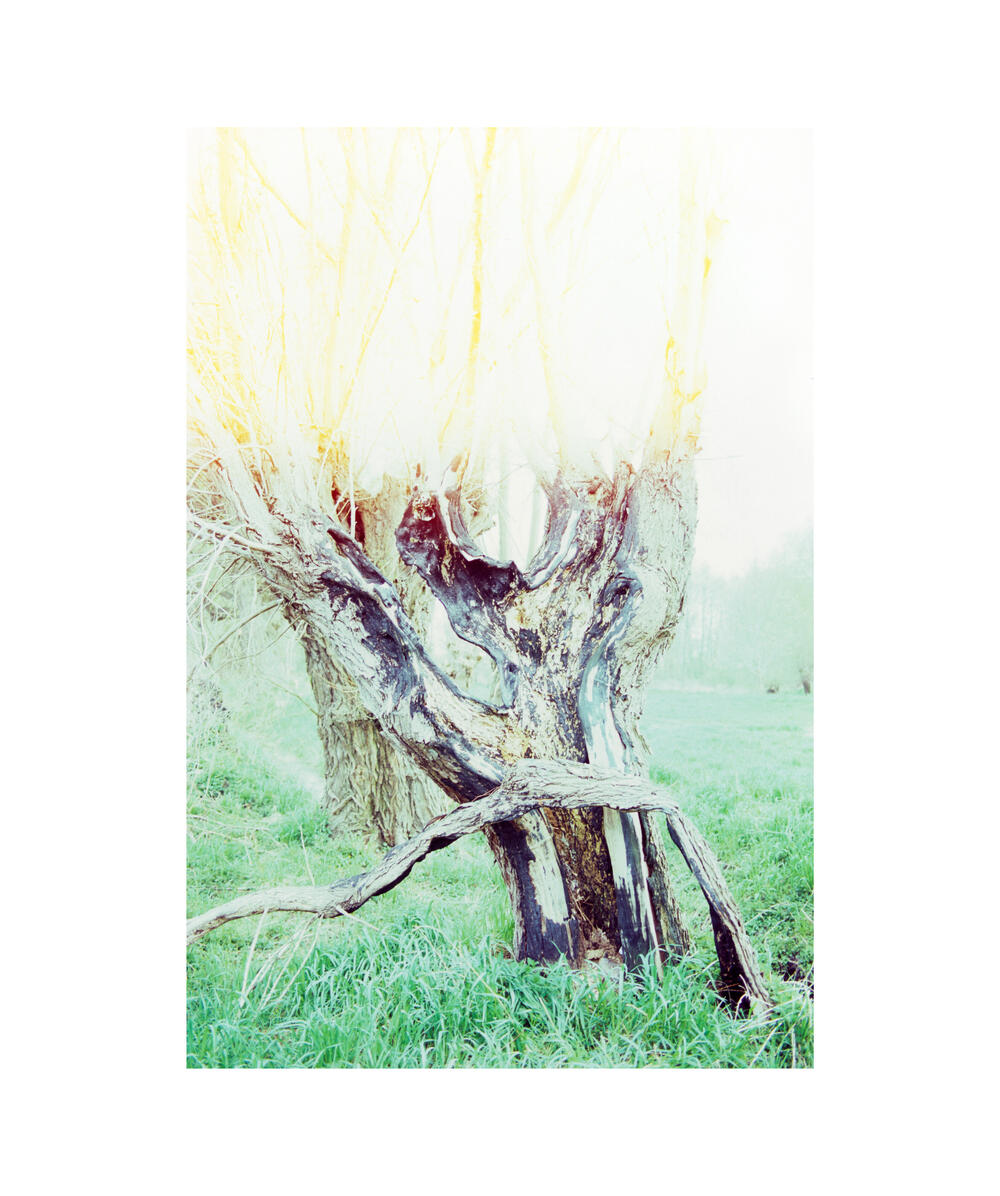 Bild von der Seite „Work in Progress“