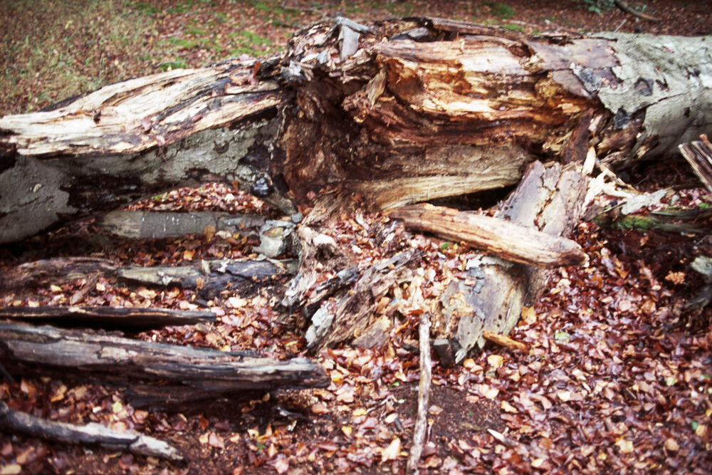 Bild von der Seite „Work in Progress“