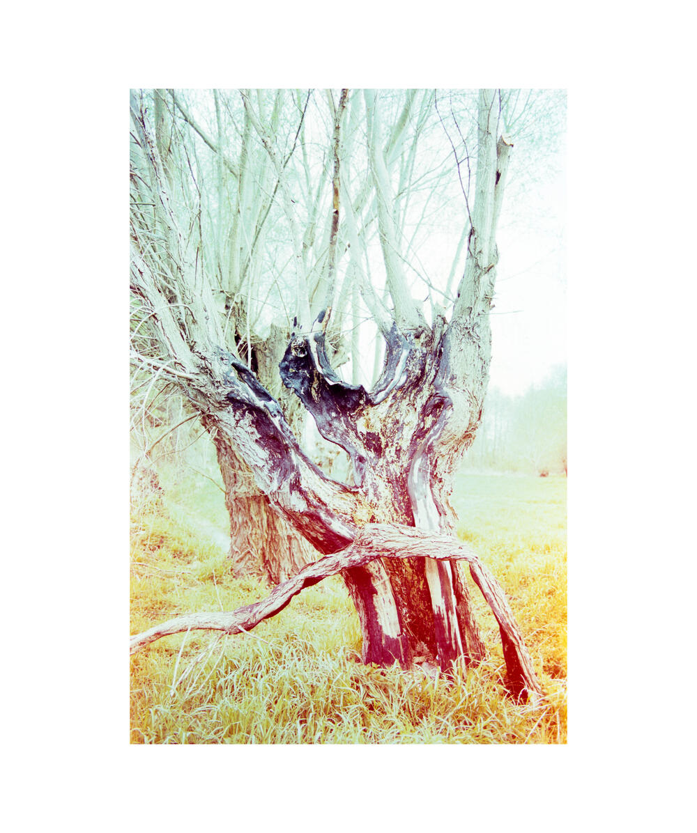 Bild von der Seite „Work in Progress“