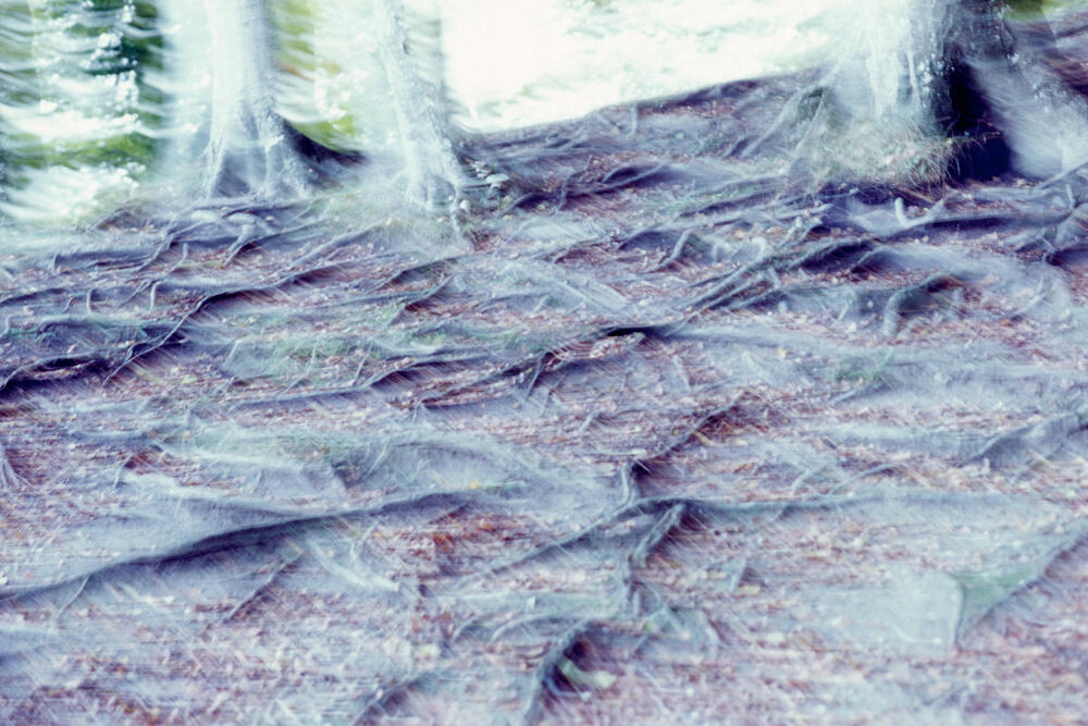 Bild von der Seite „Work in Progress“