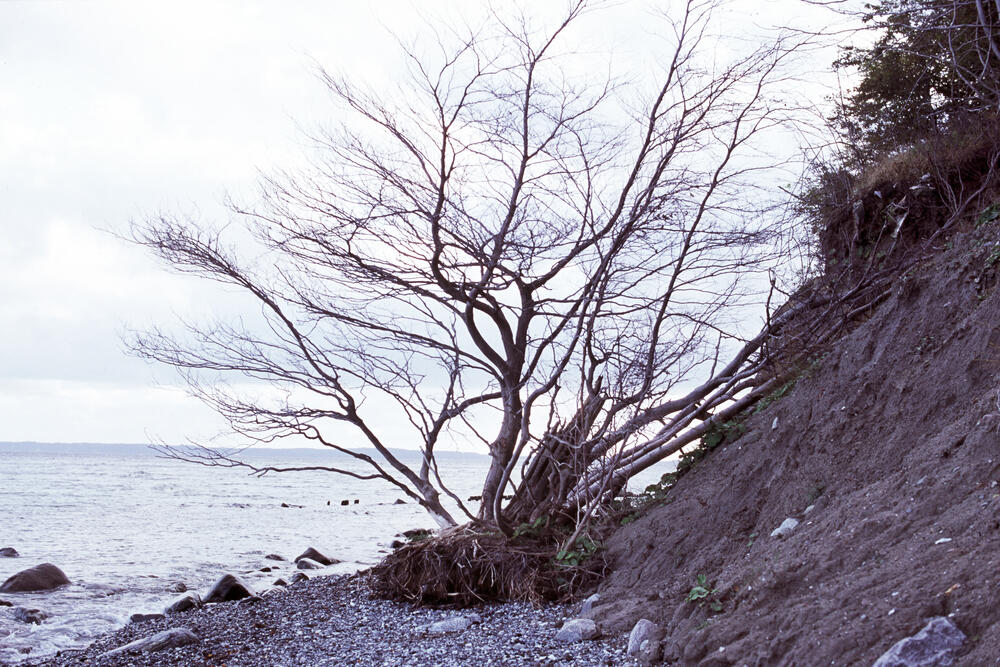 Bild von der Seite „Work in Progress“