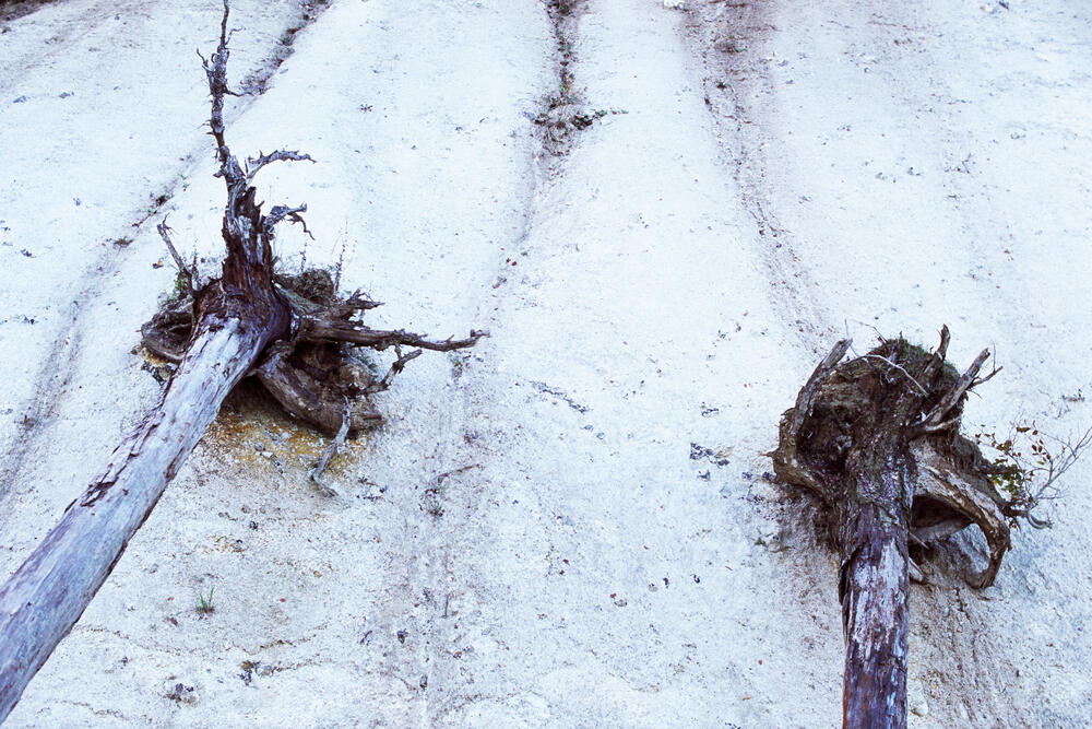 Bild von der Seite „Work in Progress“