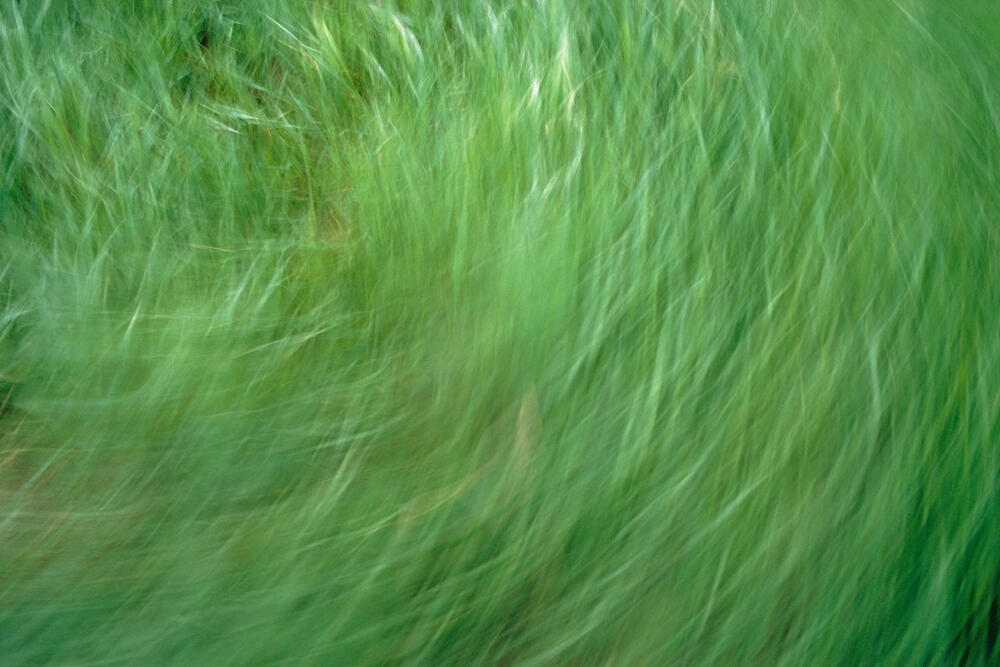 Bild von der Seite „Work in Progress“