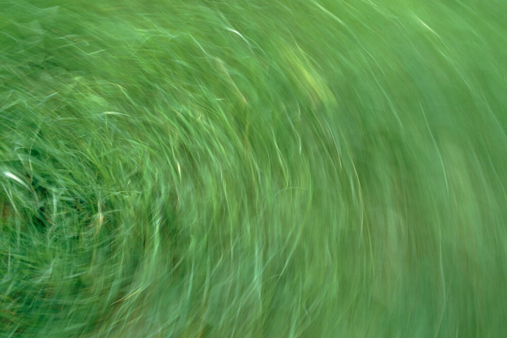 Bild von der Seite „Work in Progress“