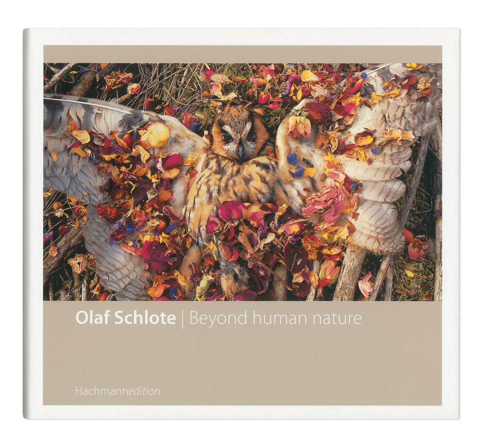 Bild von der Seite „Publikationen“